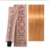 Schwarzkopf Igora Royal  9.60 Absolutes Rubio Muy Claro Marrón Natural