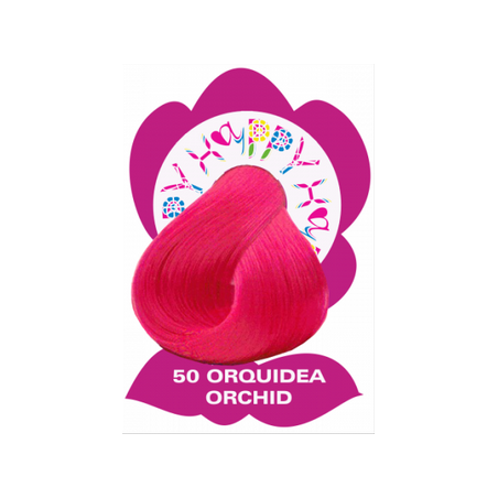 Hyppy Fantasy Color  50 Orquidiea Orchidea-orchid